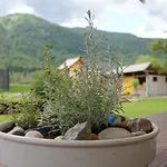 Markez * Bohinj