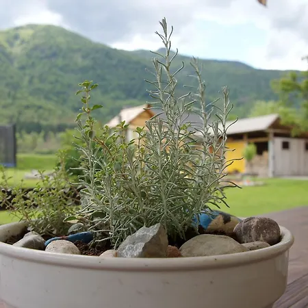 Markez * Bohinj