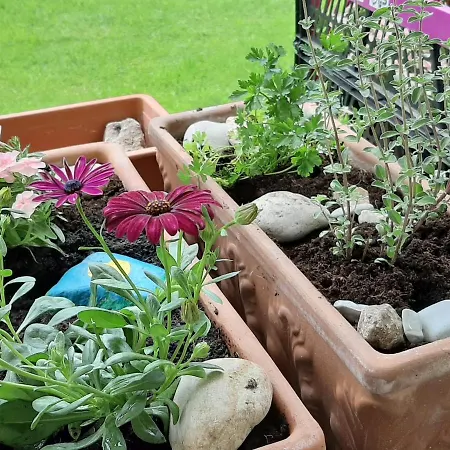 아파트 Markez 보히니