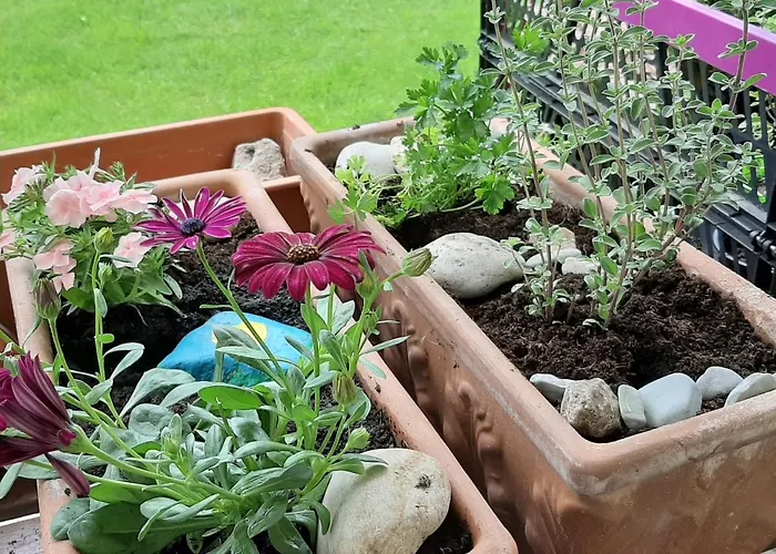 アパート Markez ボーヒニ