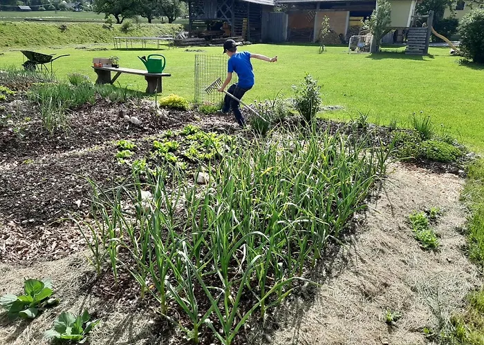 Markez アパート *