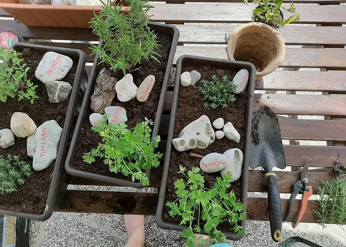 Markez アパート *